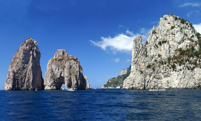 CAPRI